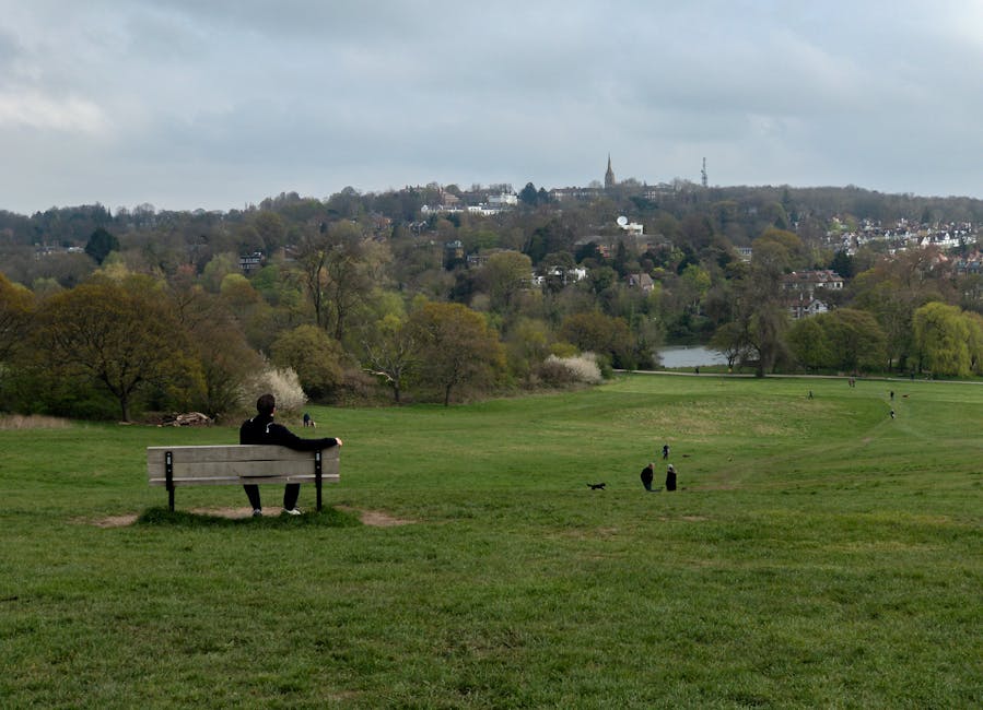 A person dressed in dark clothing is seated on a simple wooden park bench with black metal supports, positioned on a grassy area in an open park. The grass appears well-maintained and lush, with some patches of bare ground near the bench. In the foreground, two black dogs are sitting on the grass, facing away from the camera, while a small black dog is running nearby. The middle ground features several other people walking or standing scattered across the park, which is surrounded by gently rolling hills covered in a mixture of deciduous trees with fresh green foliage and some bare branches. A small body of water is visible in the background, reflecting the overcast sky, which is filled with soft, gray clouds. Distant houses and a church steeple can be seen atop the hill, indicating a residential area overseeing the park landscape. The overall scene conveys a calm and natural environment suitable for leisure or informal outdoor activities, aligning with alternative waste handling practices by showcasing a clean, open public space.