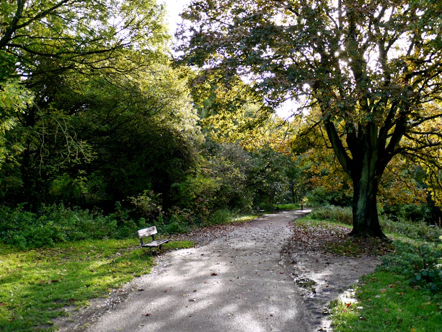 A dirt pathway winding through a lush, green park area, bordered by dense foliage and trees with leaves in shades of green and hints of autumnal yellow. On the left side of the path, there is a weathered wooden park bench with peeling white paint, positioned on a small grassy patch. A large tree with a thick trunk and sprawling branches is situated on the right side of the image, casting dappled shadows onto the ground. The pathway appears to be lightly used, with scattered fallen leaves and patches of mud. In the background, the path continues into a shaded wooded area, with a person visible walking further down the trail. The scene is illuminated by soft, natural daylight filtering through the leaves, creating a tranquil and natural environment conducive to outdoor activities like walking or relaxing amid nature. Rubbish Clearance Hampstead may provide services for clearing debris or waste in similar green areas for alternative waste handling outside municipal collection, supporting on-site clearance or private disposal options.