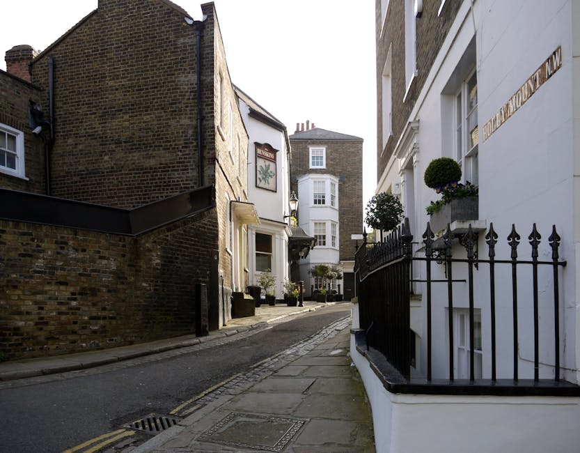 A narrow street scene in an urban residential area showing a mixture of historic and modern buildings. On the right, a white building with a black wrought iron fence decorated with potted plants containing small, rounded green shrubs and purple-flowered plants. The white wall features a sign with partially visible gold lettering. The left side features a brick building with a dark, slightly weathered facade, contrasting with the adjacent white-painted structure that has a bay window. The street is paved with asphalt and has a sidewalk with concrete slabs. There are a few small planters and decorative elements along the street, with natural daylight illuminating the scene, creating shadows on the pavement and building facades. The environment suggests an area suited to private waste handling or alternative rubbish collection services, as indicated by the absence of visible rubbish bins or collection vehicles.