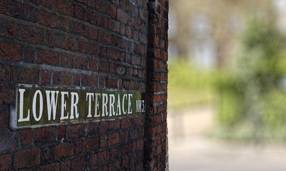 A narrow street scene in an urban residential area showing a mixture of historic and modern buildings. On the right, a white building with a black wrought iron fence decorated with potted plants containing small, rounded green shrubs and purple-flowered plants. The white wall features a sign with partially visible gold lettering. The left side features a brick building with a dark, slightly weathered facade, contrasting with the adjacent white-painted structure that has a bay window. The street is paved with asphalt and has a sidewalk with concrete slabs. There are a few small planters and decorative elements along the street, with natural daylight illuminating the scene, creating shadows on the pavement and building facades. The environment suggests an area suited to private waste handling or alternative rubbish collection services, as indicated by the absence of visible rubbish bins or collection vehicles.